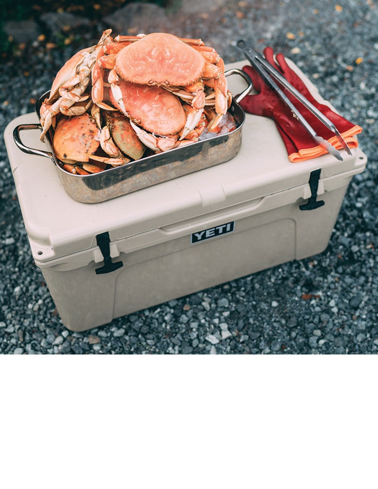 Tundra Hard Coolers >