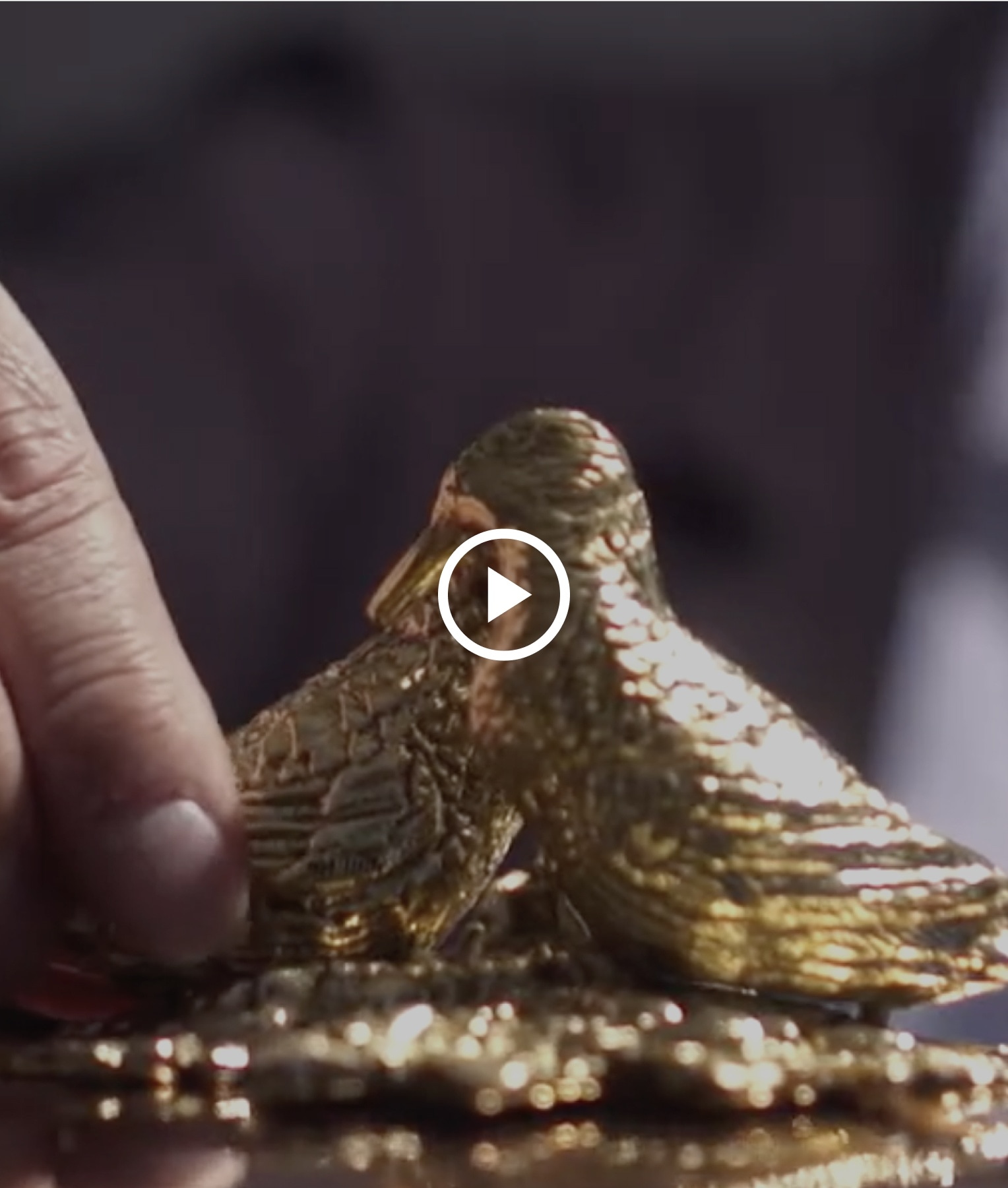 Ruffoni Brand Video