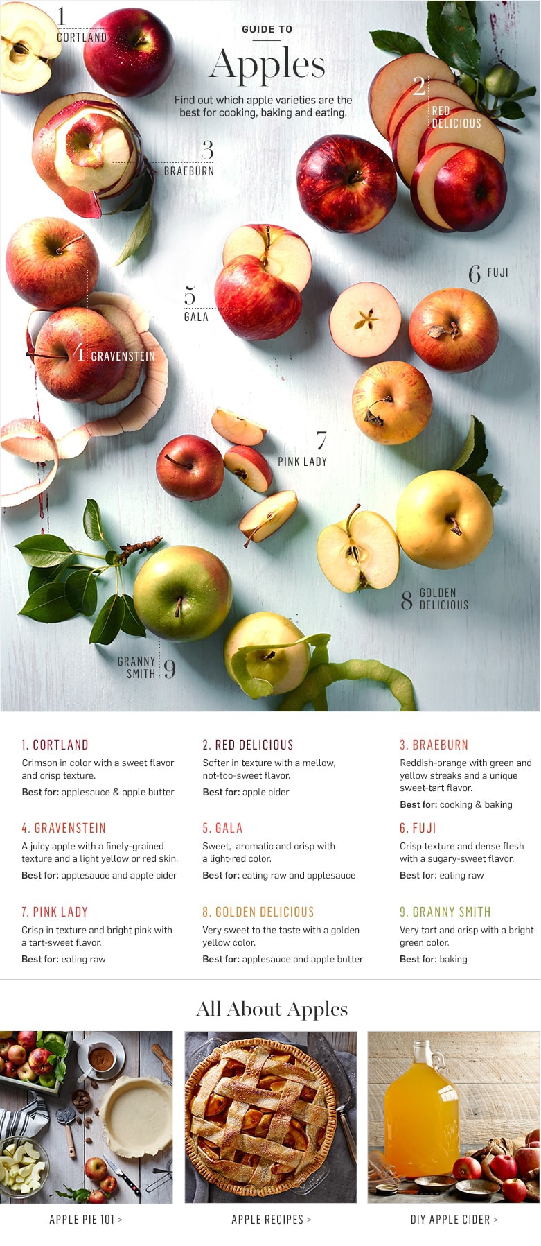Apple Guide Apple Guide