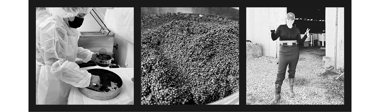 Caviar Tour