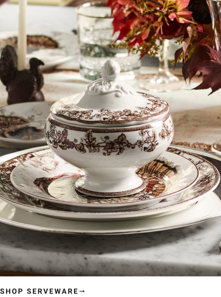 Shop Serveware
