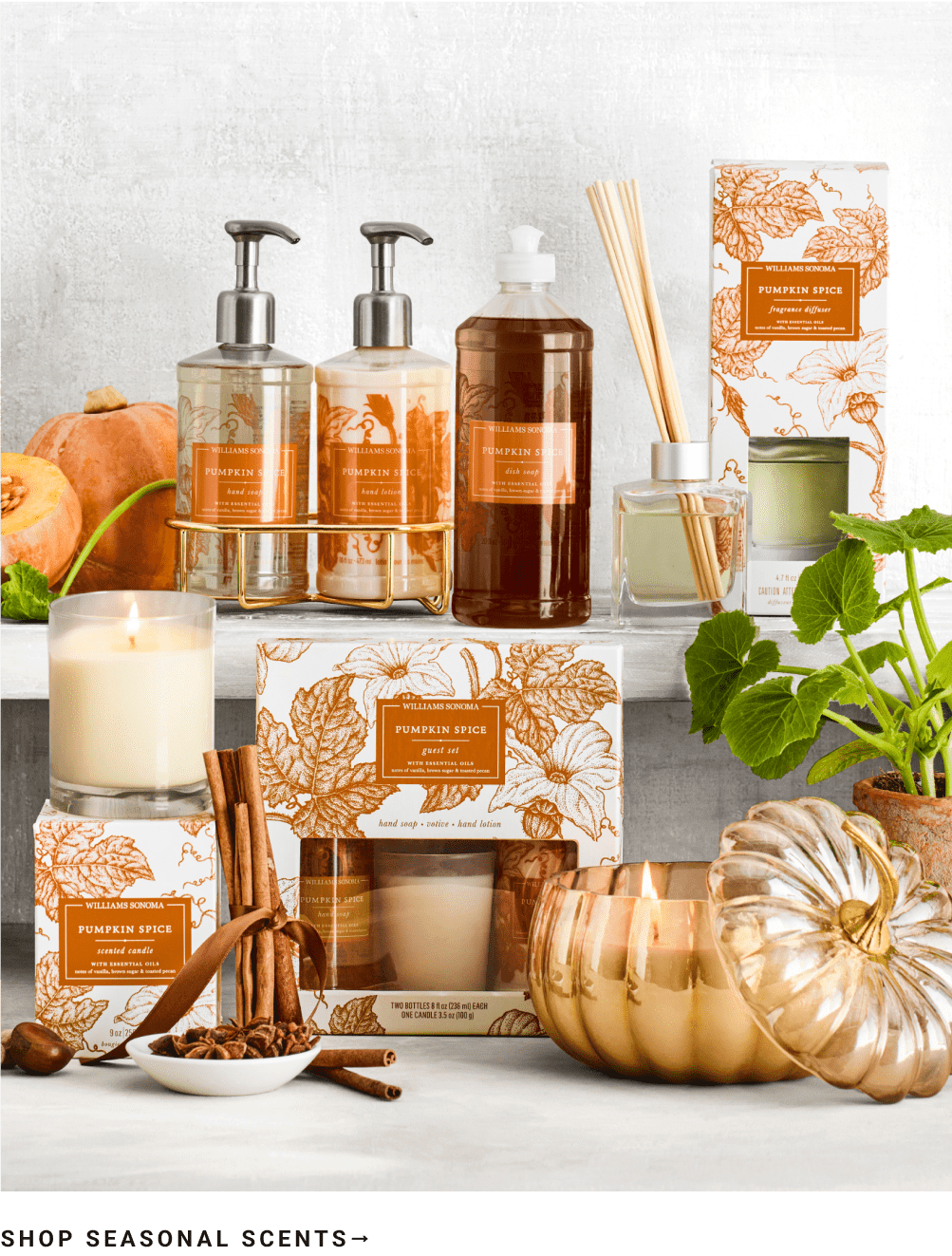 Shop Seasonal Scents
