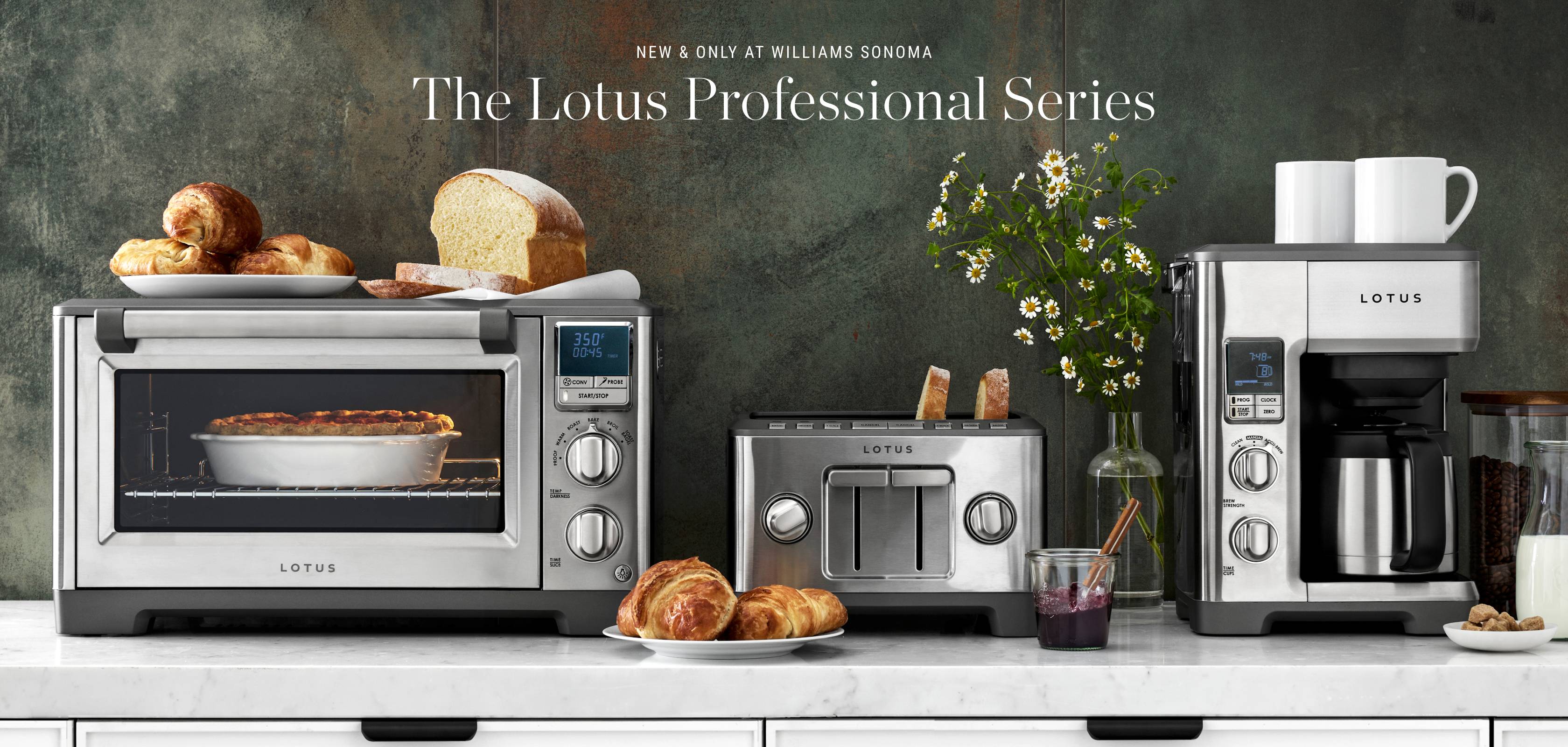 The Lotus Professional Series