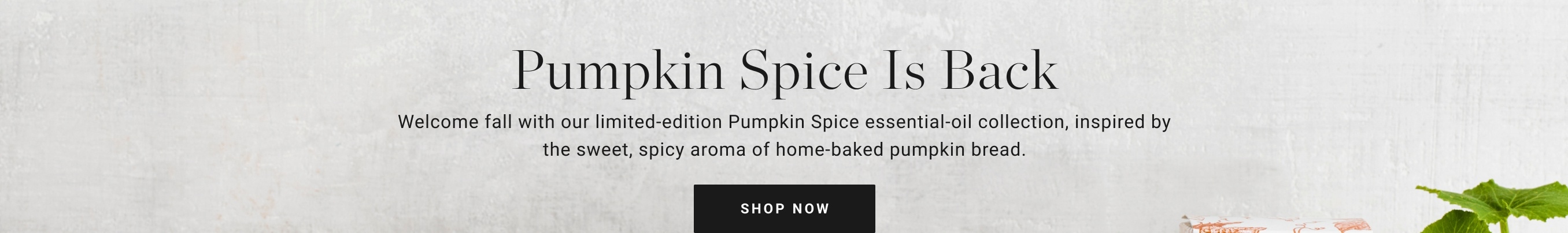 Shop Pumpkin Spice Collection