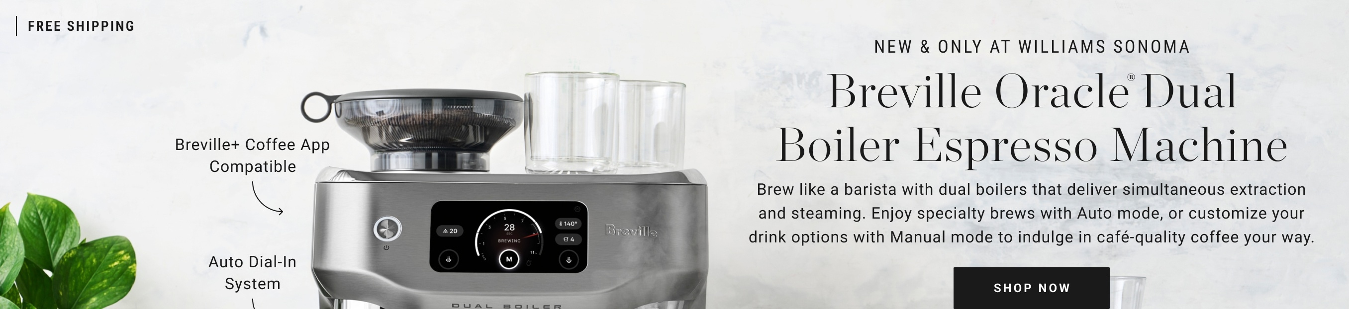 Breville Oracle Dual Boiler Espresso Machine