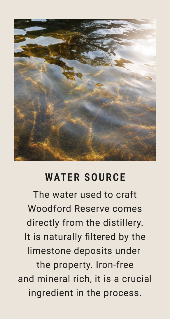 Water Source