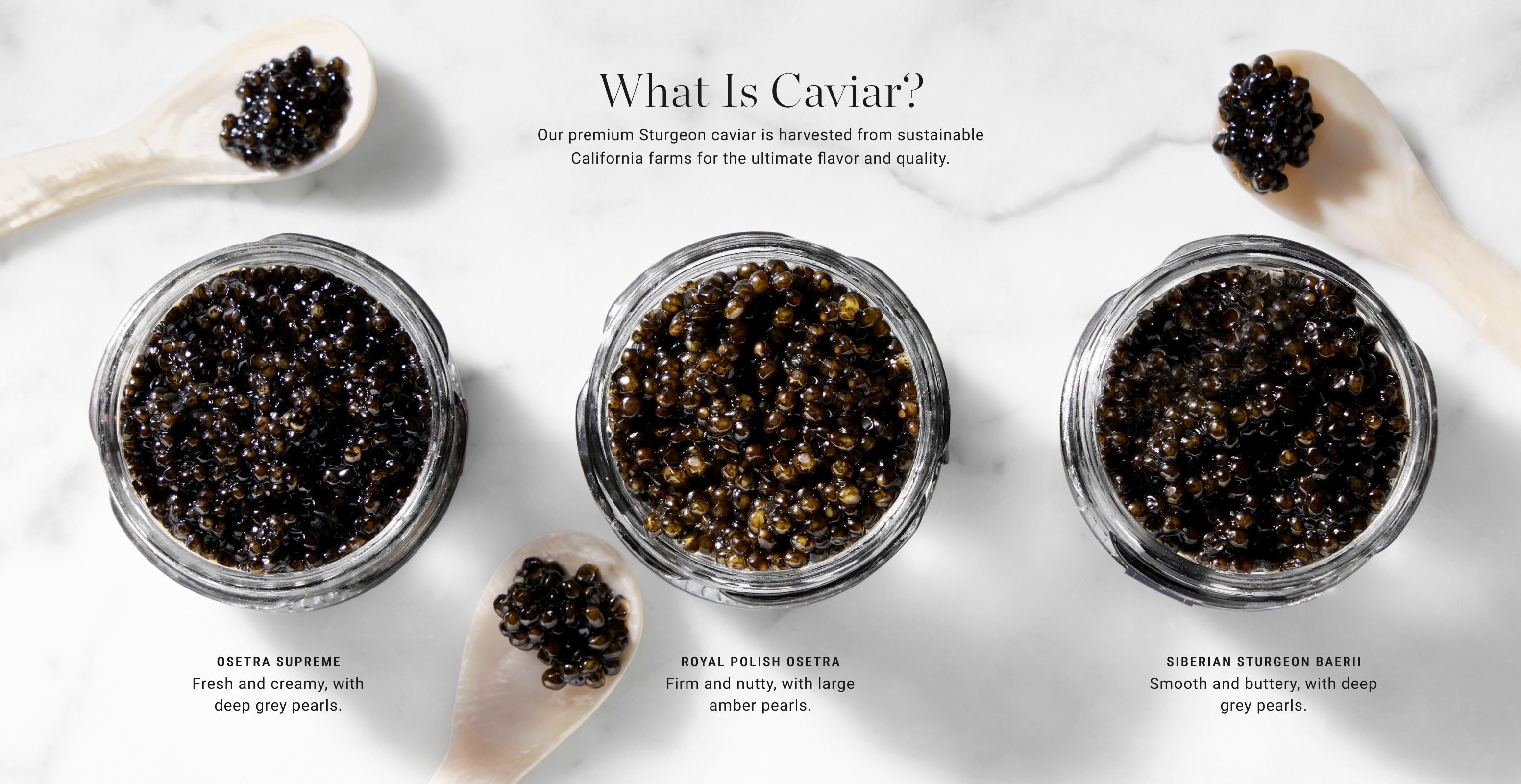 What is Caviar?