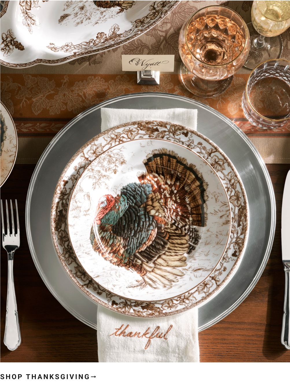 Shop Thanksgiving Preview