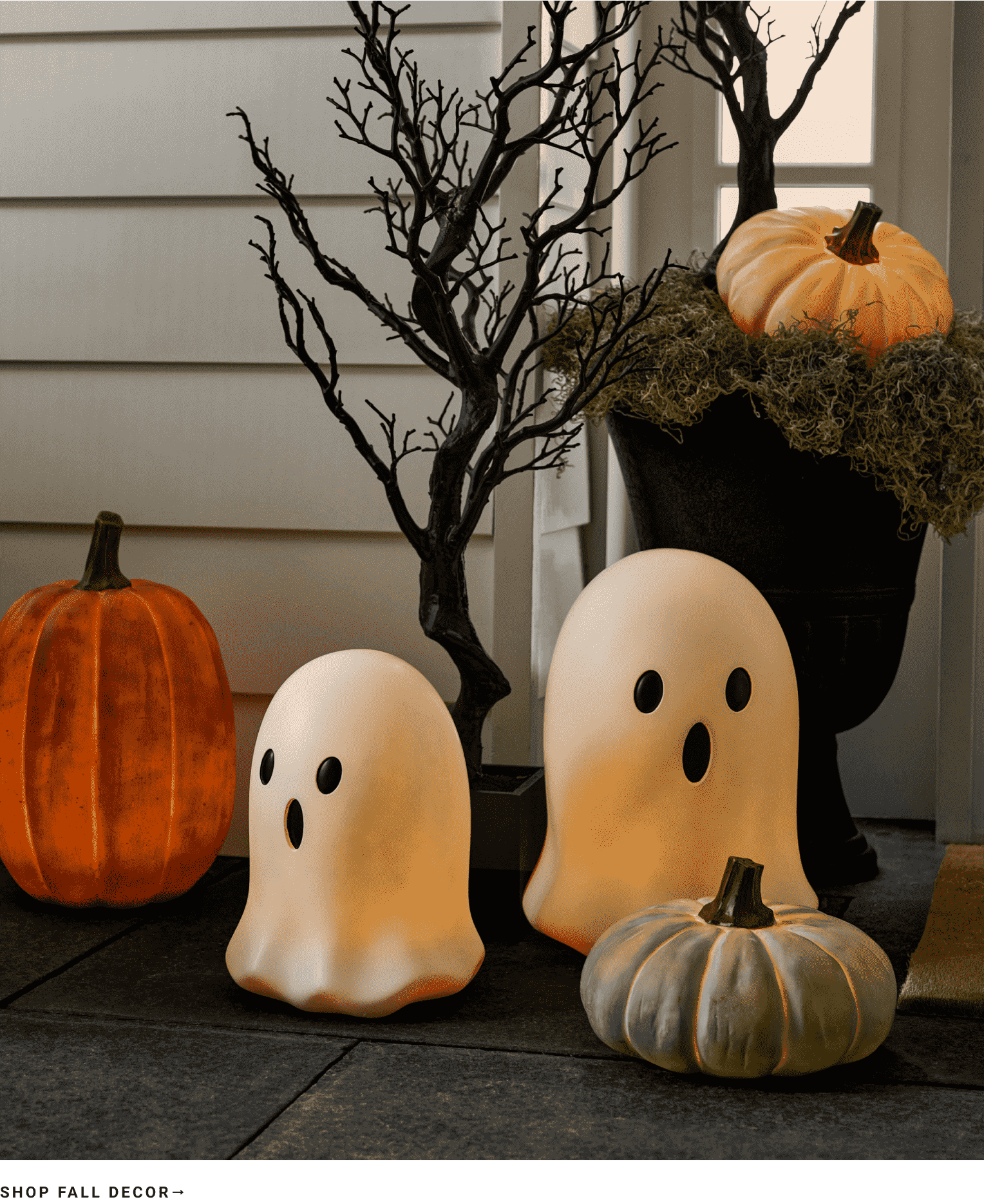 Shop Fall Decor