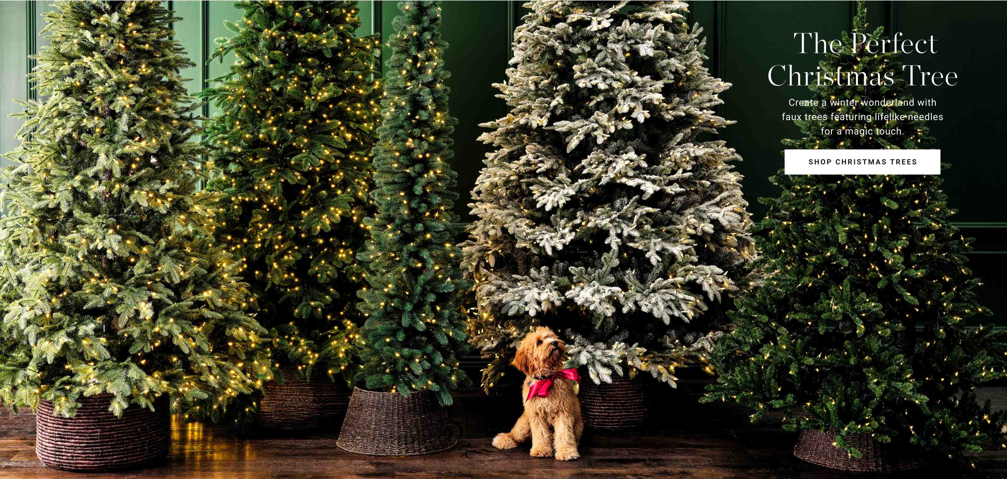 Shop Christmas Trees