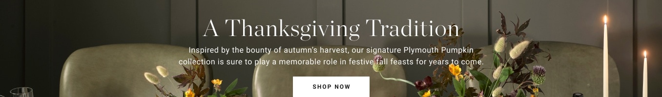 Shop Plymouth Pumpkin Collection