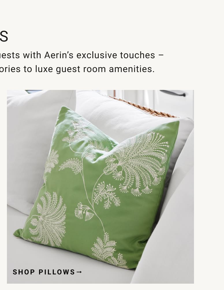 Shop Pillows Shop Pillows