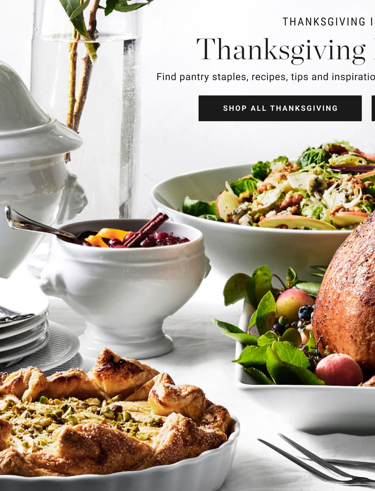 Shop All Thanksgiving Shop All Thanksgiving