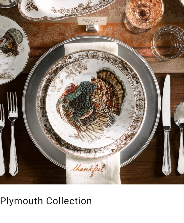 Plymouth Collection