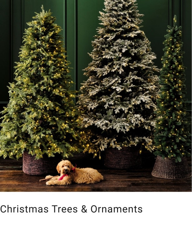 Christmas Trees & Ornaments