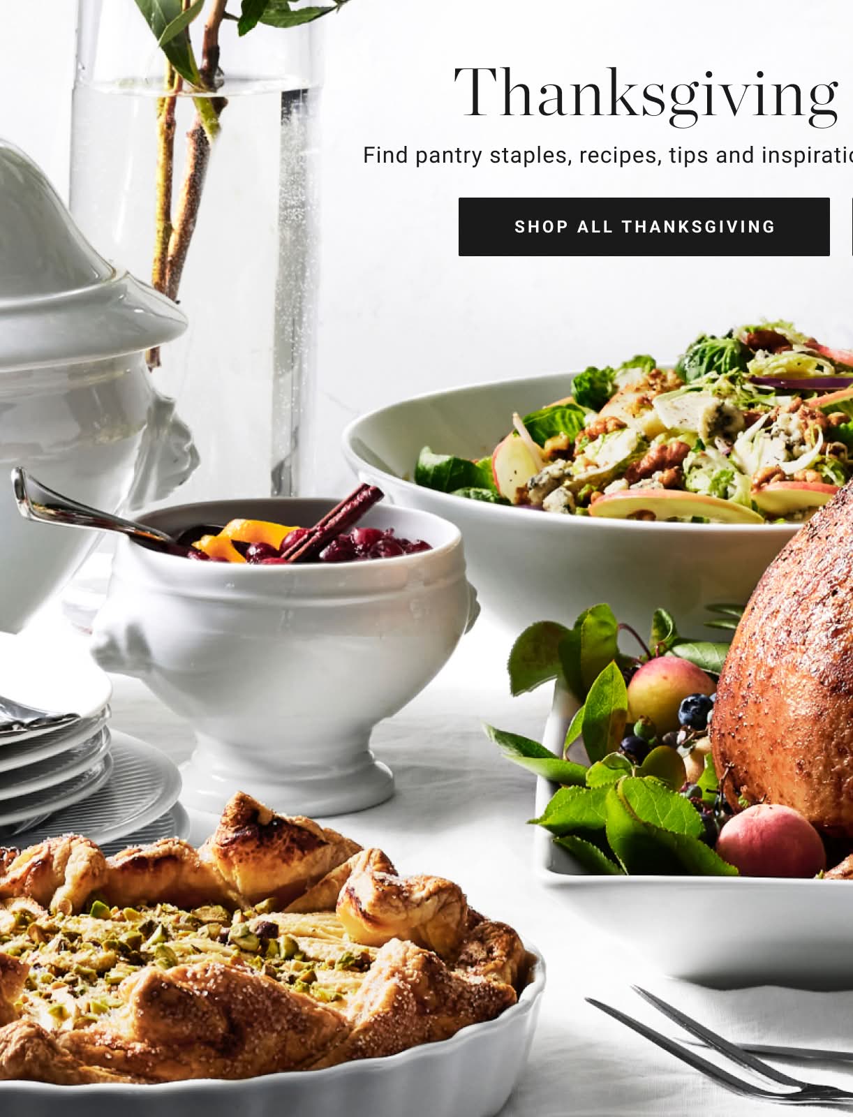 Shop All Thanksgiving Shop All Thanksgiving