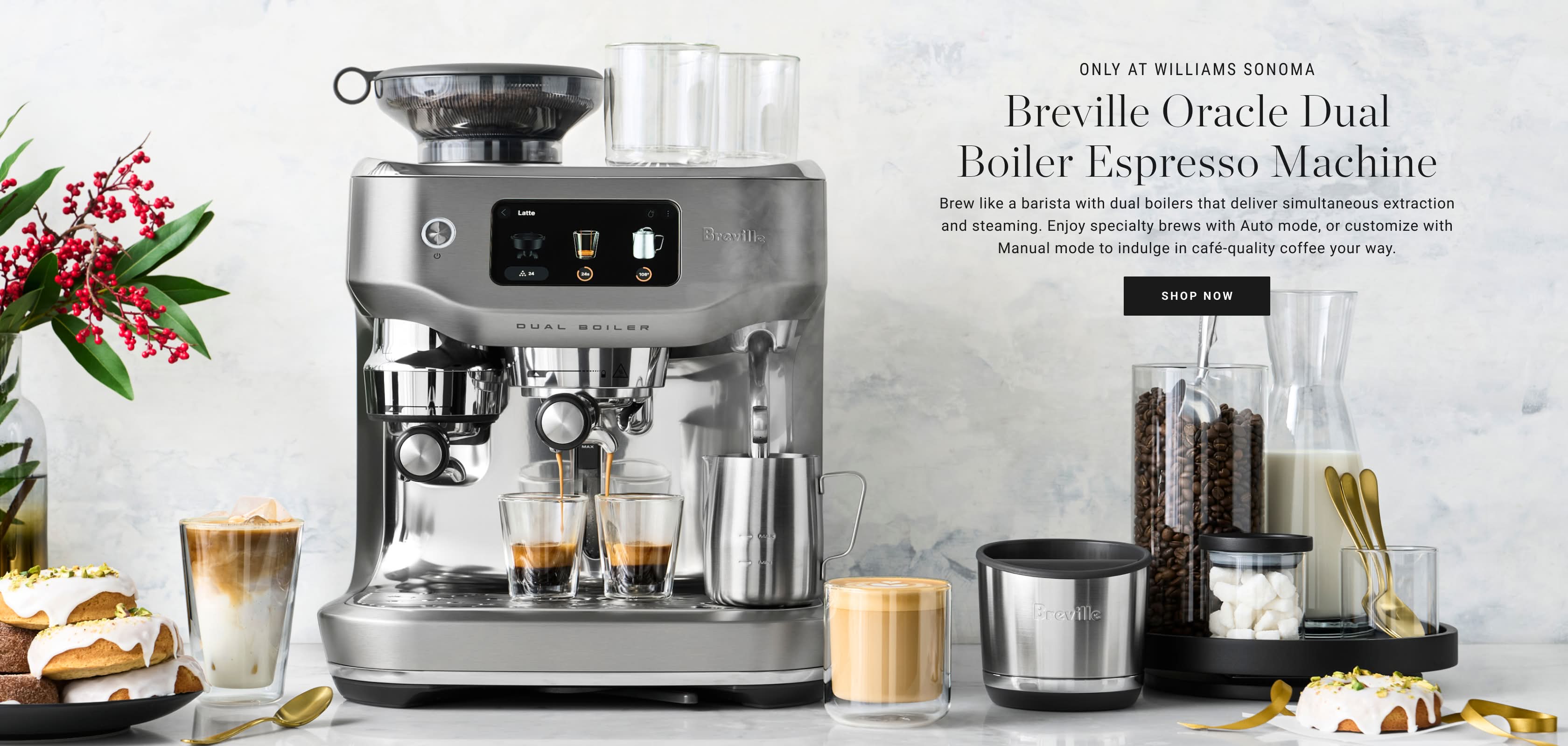 Shop Breville Oracle Dual Boiler Espresso Machine Shop Breville Oracle Dual Boiler Espresso Machine