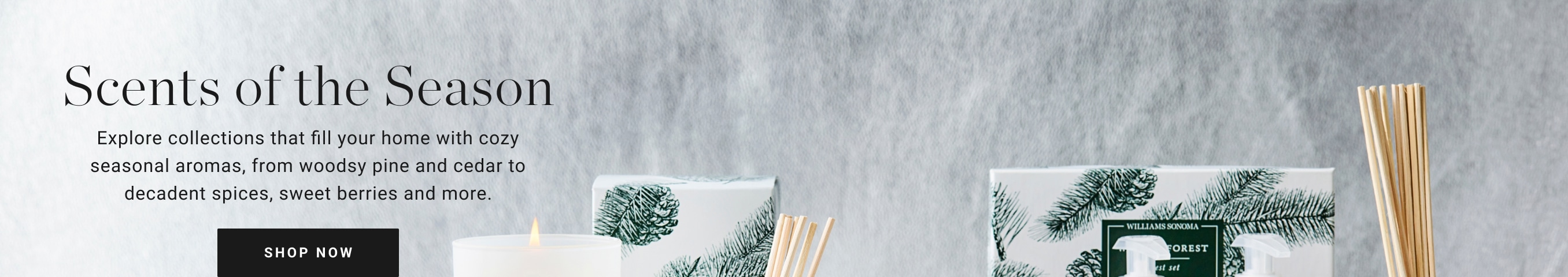 Shop Seasonal Scents