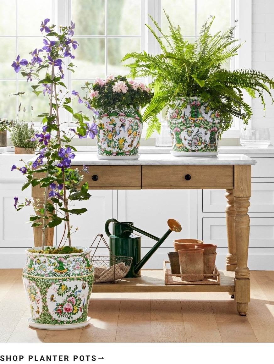 Shop Planter Pots