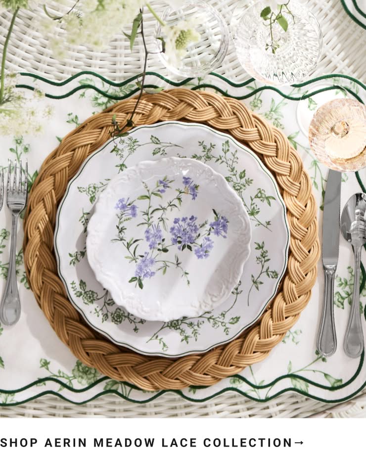 Shop AERIN Collection