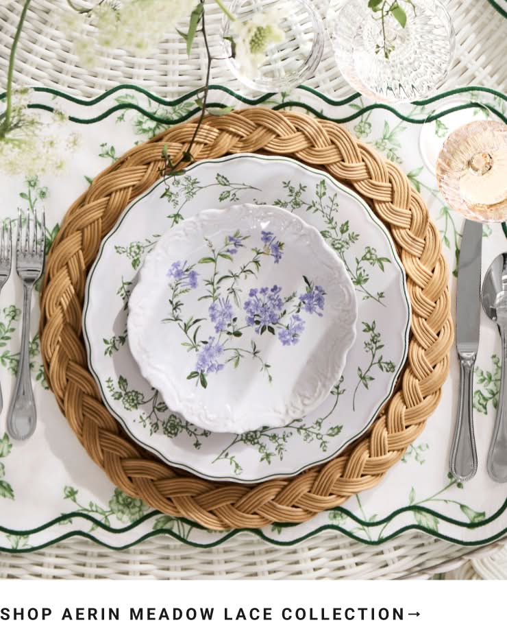 Shop AERIN Collection