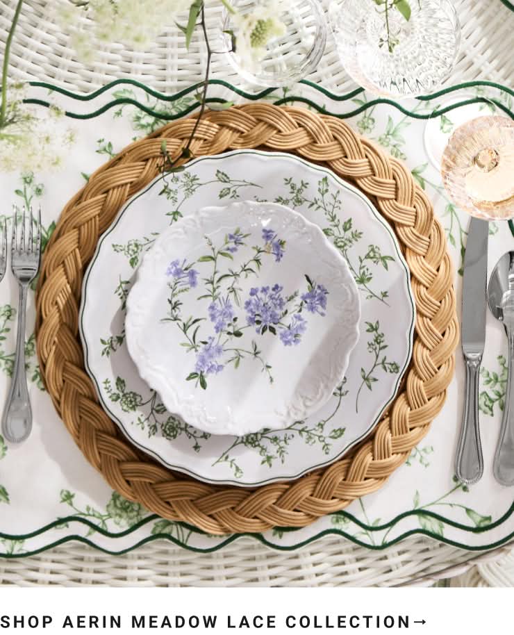 Shop AERIN Collection