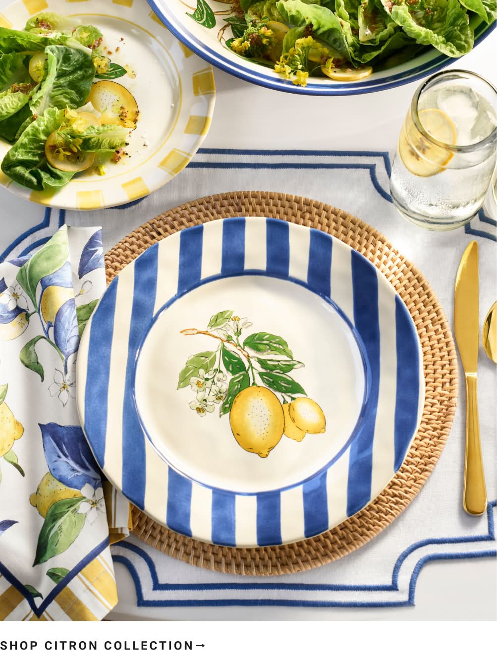 Shop Citron Collection Shop Citron Collection