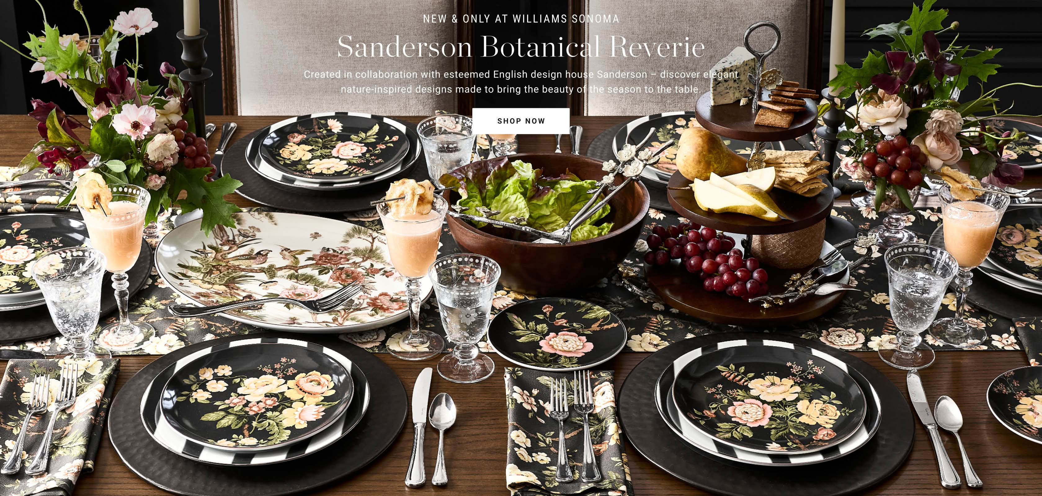 Shop Sanderson Collection Shop Sanderson Collection