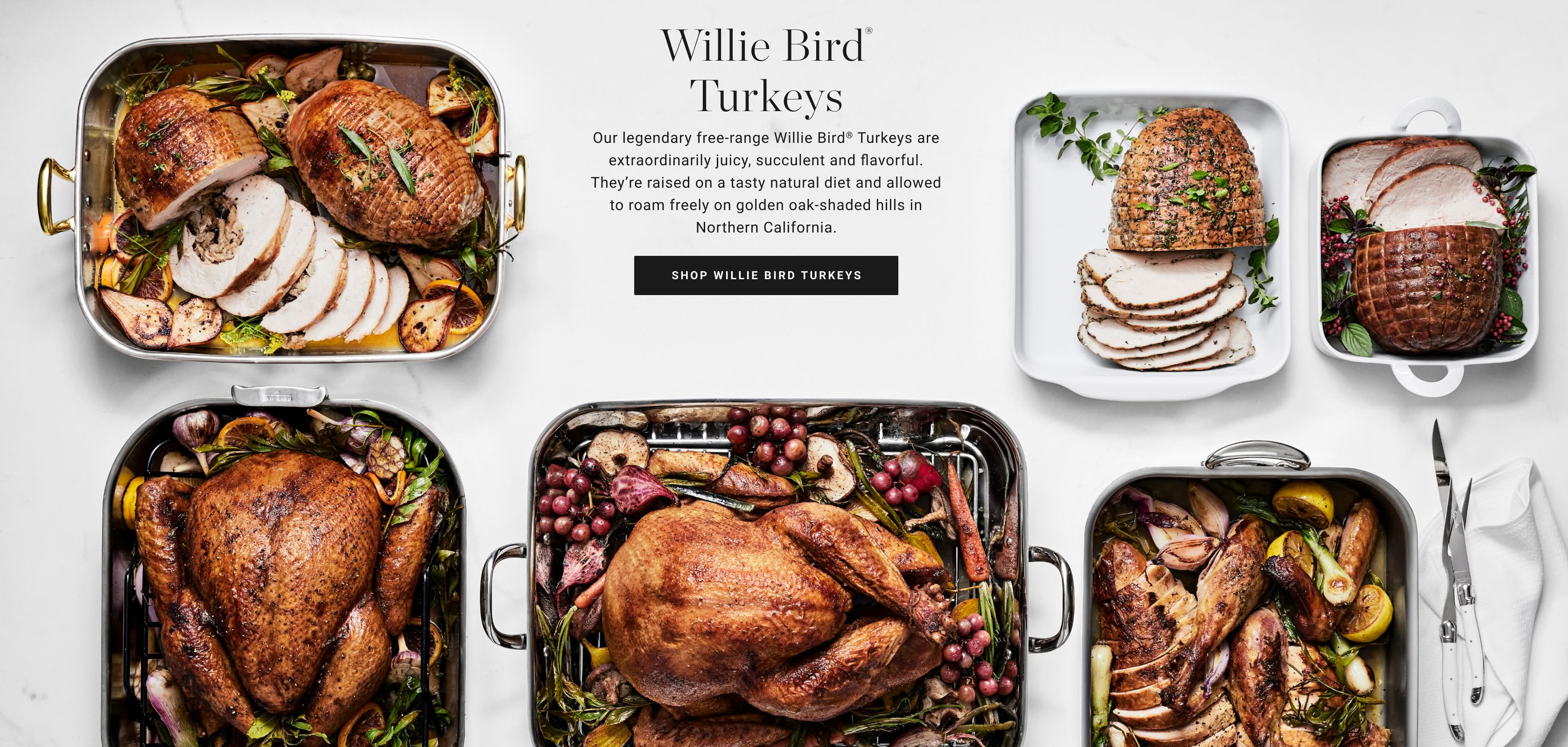 Shop Willie Bird Turkeys