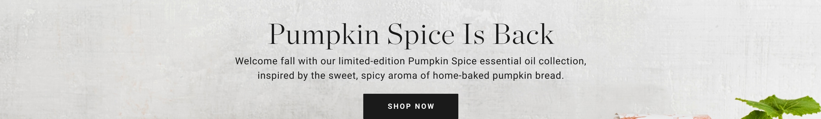 Shop Pumpkin Spice Collection