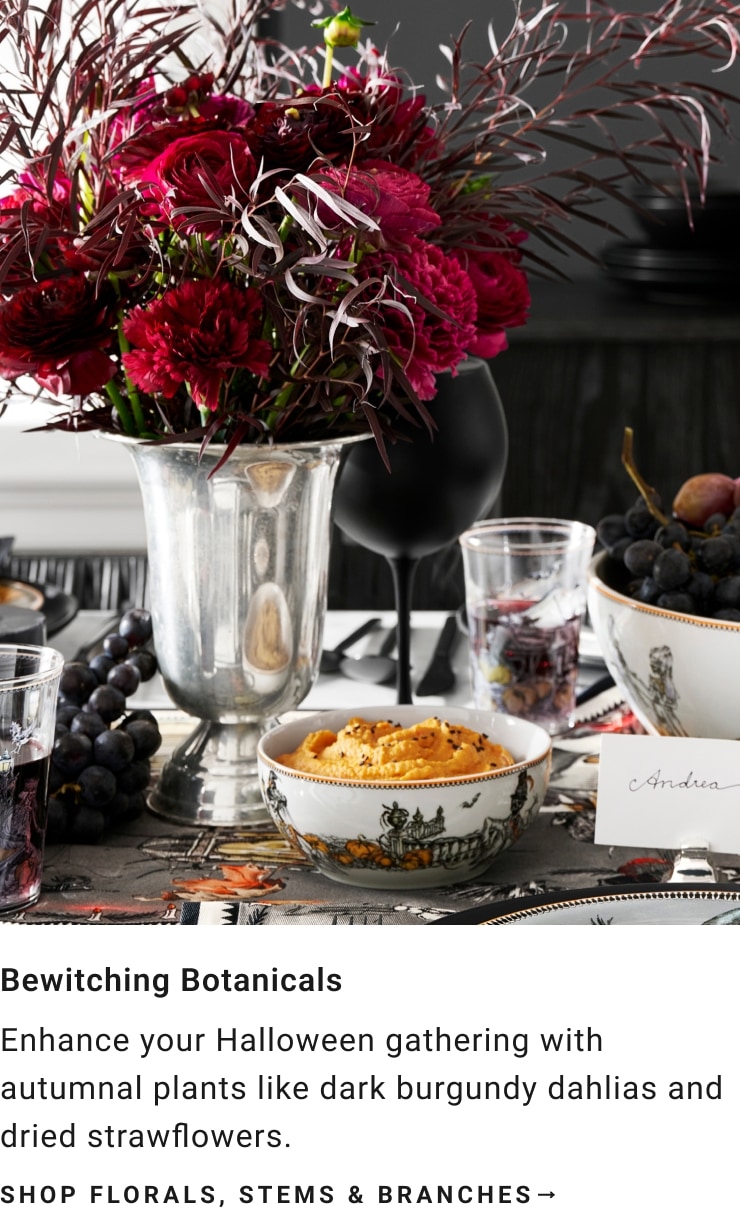 Shop Florals, Stems & Branches