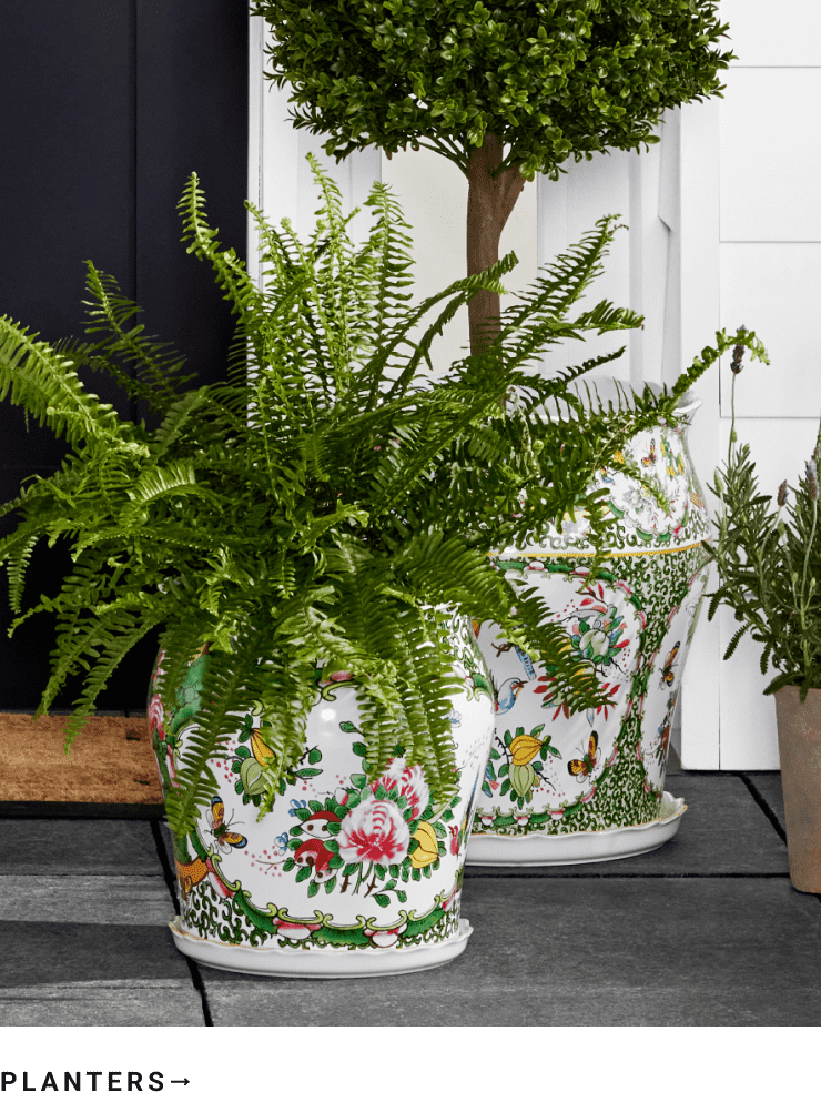 Shop Planters Shop Planters