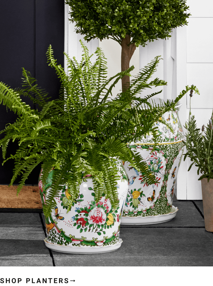 Shop Planters Shop Planters