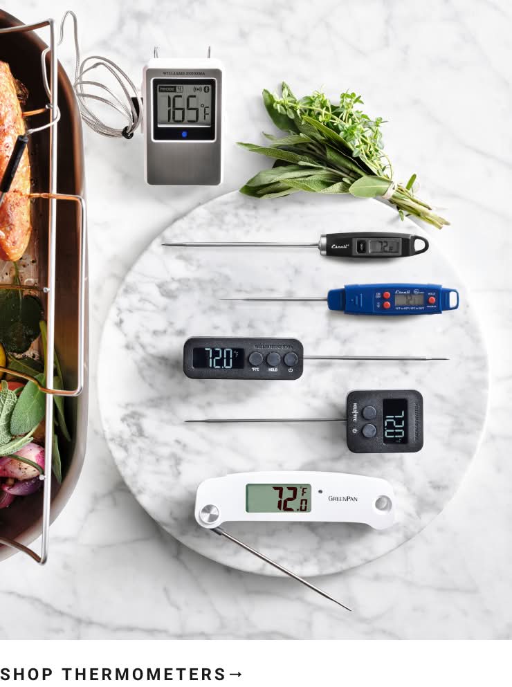 Shop Thermometers