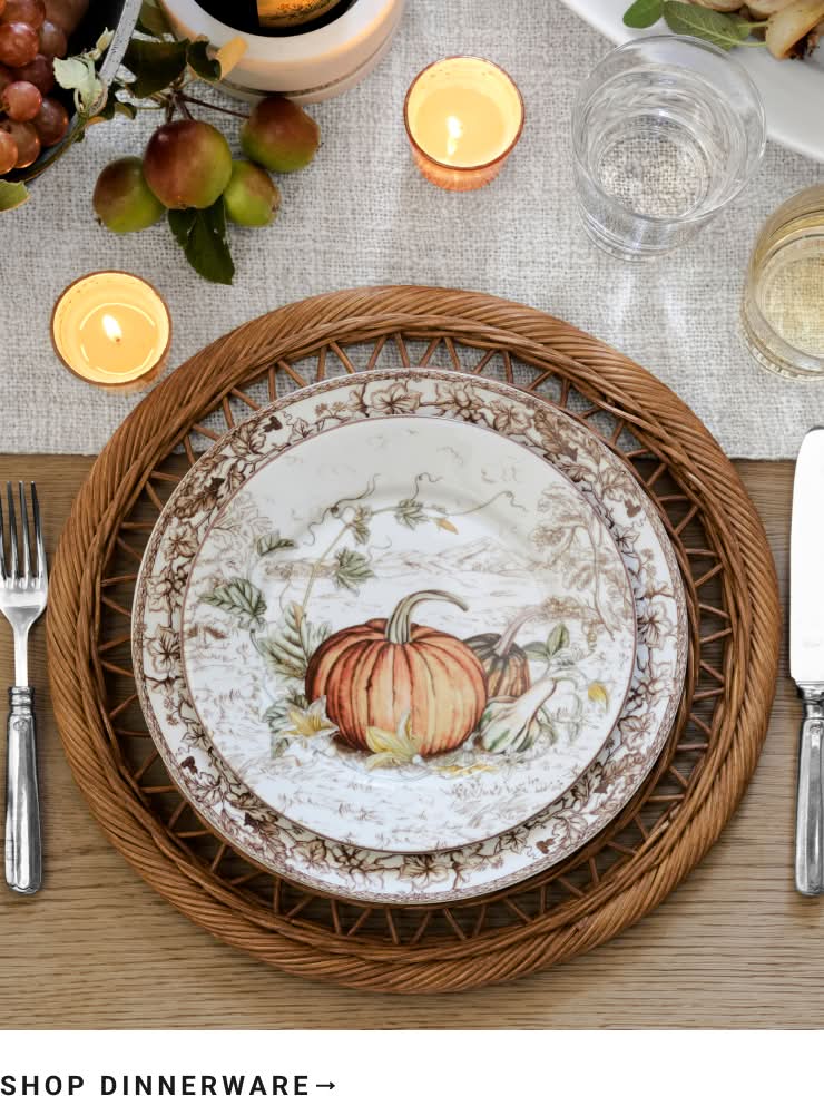 Shop Dinnerware