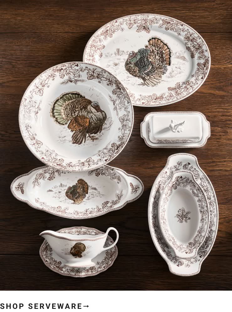 Shop Serveware