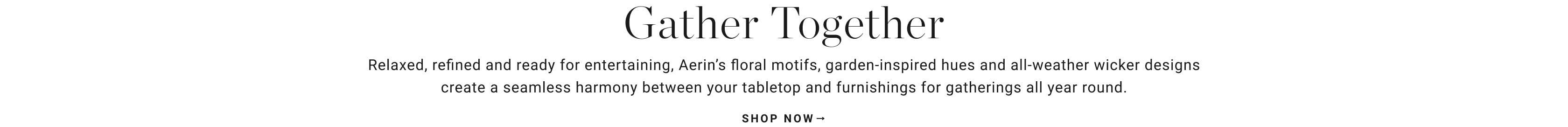 Shop AERIN Garden Bouquet