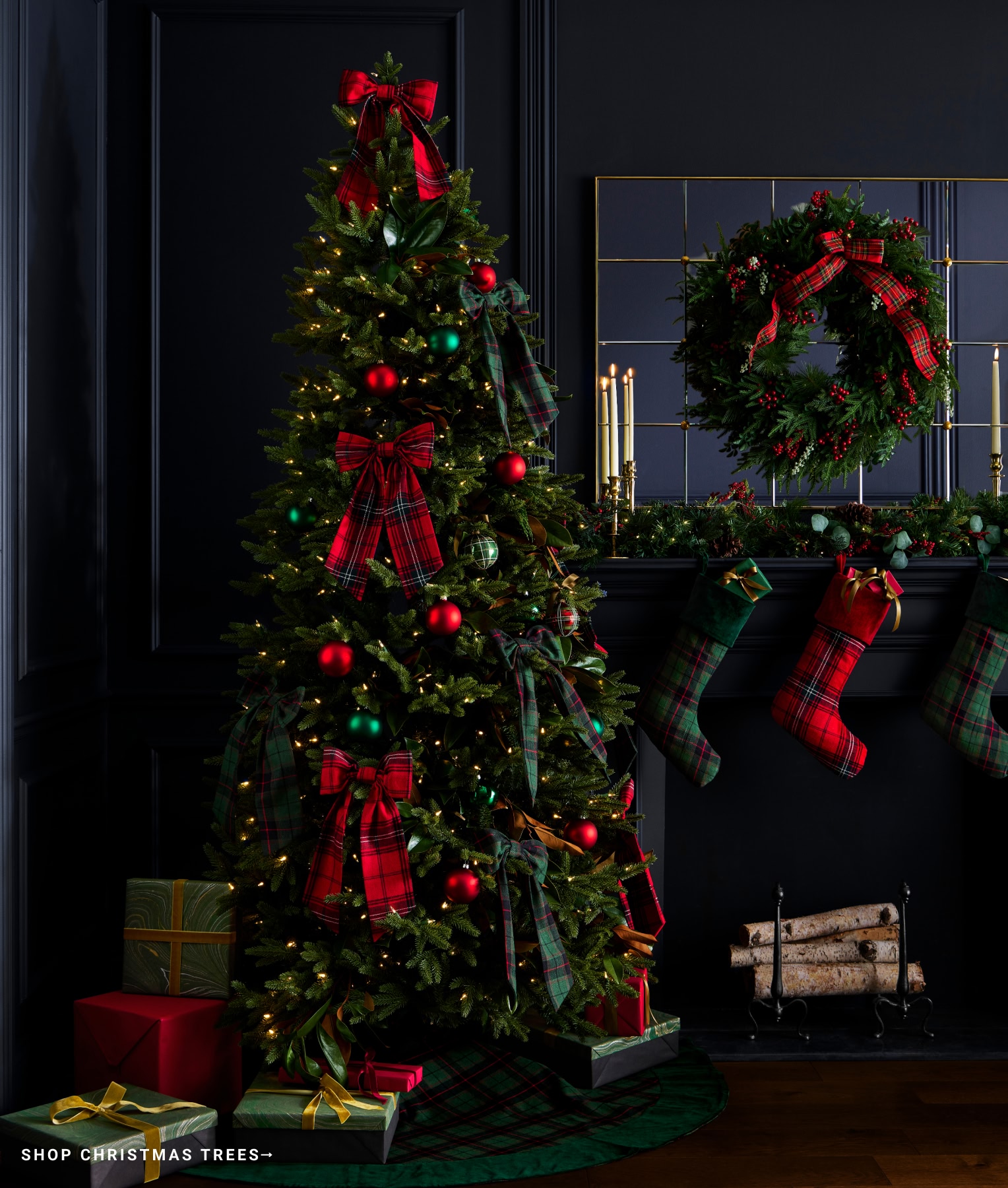 Shop Christmas Trees