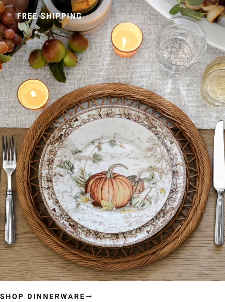 Shop Dinnerware