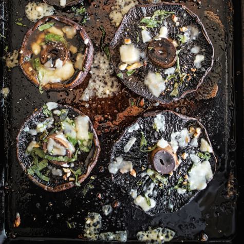 harry's pet shop portobello