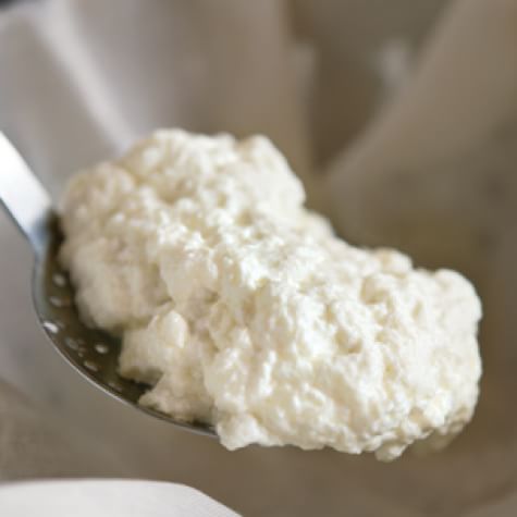 Homemade Ricotta Cheese Williams Sonoma