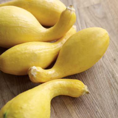 How Long Does Yellow Squash Last in the Fridge
