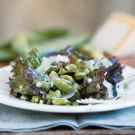 Fava Bean and Pecorino Salad