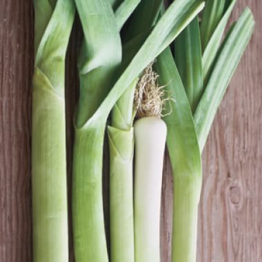 small automatic electric portable leek scallion