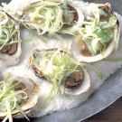 Oysters on the Half Shell with Apple-Horseradish Slaw