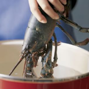 Boiling Lobster