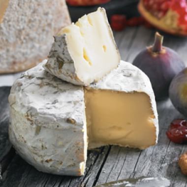 Semifirm (or Semihard) Cheeses