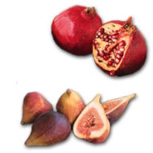 Autumn at the Farmers' Market