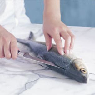 Cleaning and Filleting a Fish