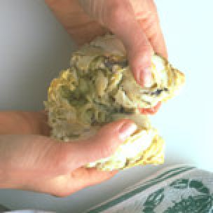 Preparing Fresh Crab